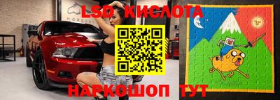 гашик Донской