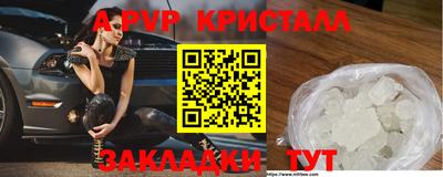 гашик Донской