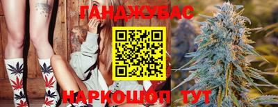 гашик Донской