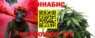 гашик Донской